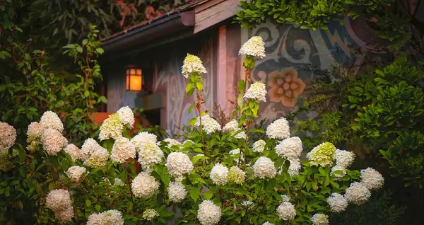 Abri de jardin Dijon V2 G Paysage 0