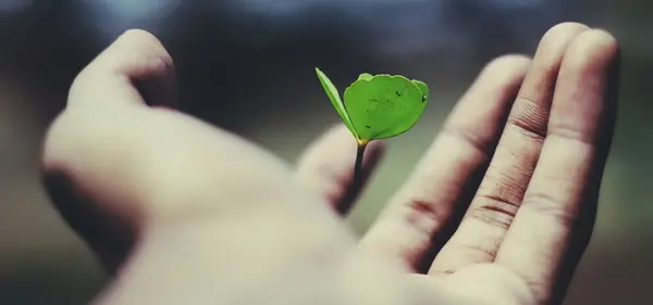 Accompagnement V2 G Paysages Bourgogne 0