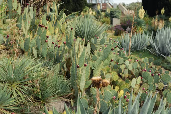 Actualite Jardinier Paysagiste Beaune 2