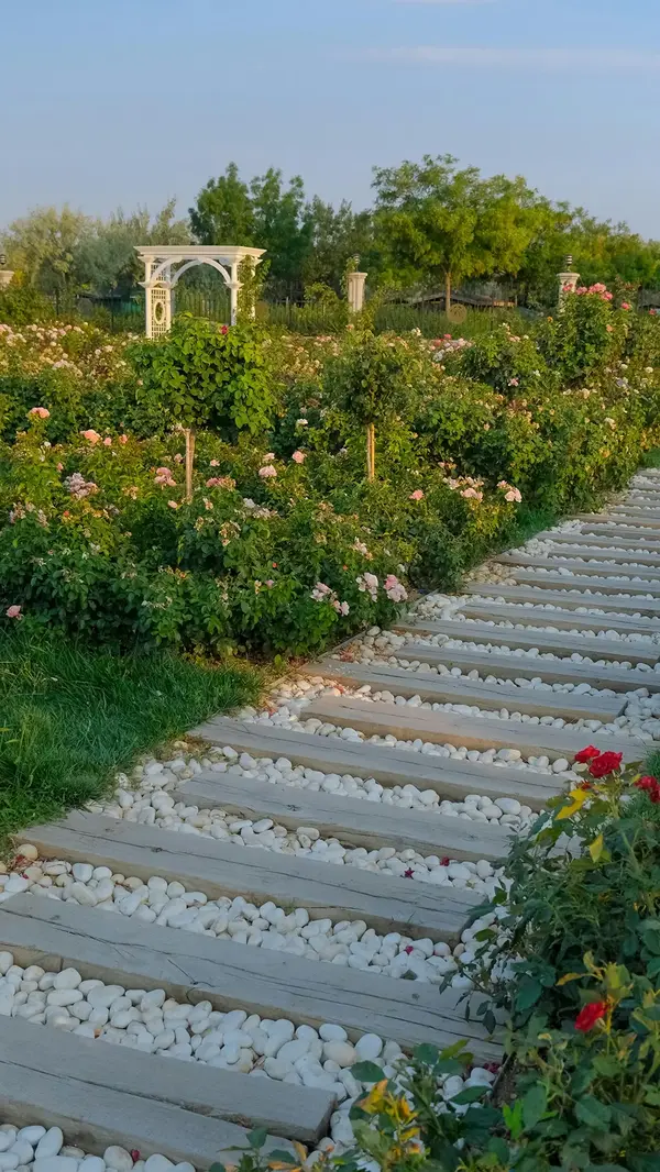 Actualite Paysagiste Beaune Cote d Or 1