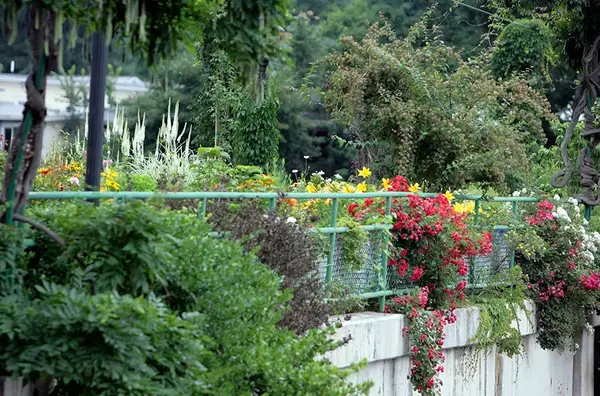 Amenagements paysagers V2 G Paysages Bourgogne 1