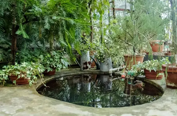 Bassin de jardin V2 G Paysages Bourgogne 3