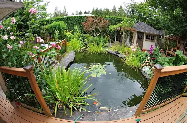 Bassin de jardin V2 G Paysages Bourgogne 4