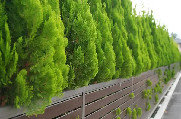 Cloture Jardin Dijon Bourgogne 1