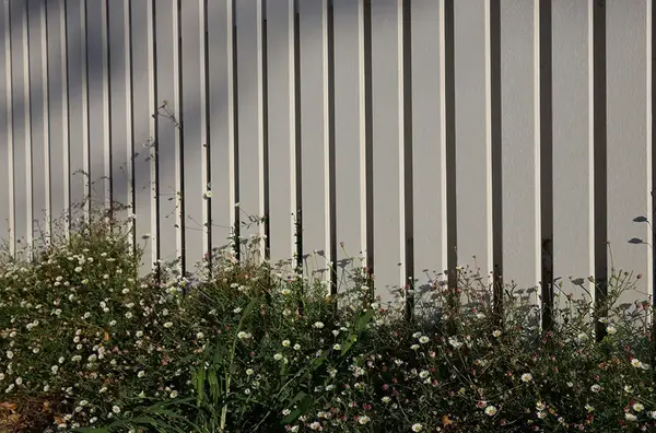 Cloture Jardin Dijon Bourgogne 2