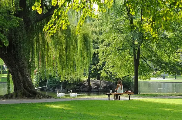 Collectivite V2 G Paysages Bourgogne 2