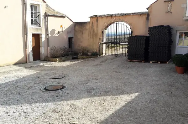 Cour professionnelle V2 G Paysages 10