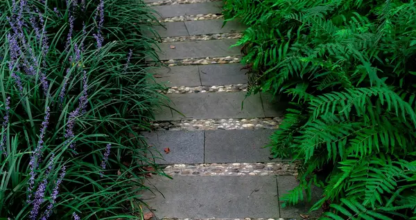 Creation allee Jardin V2 G paysagiste 0