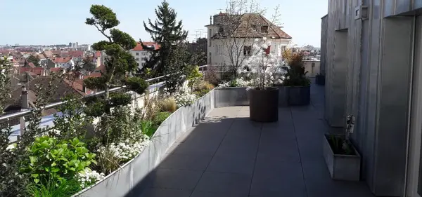 Creation rootop V2 G Paysages Bourgogne 0