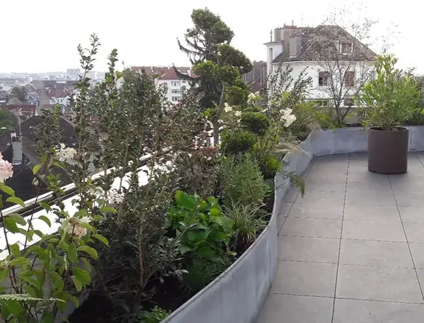 Creation rootop V2 G Paysages Bourgogne 1