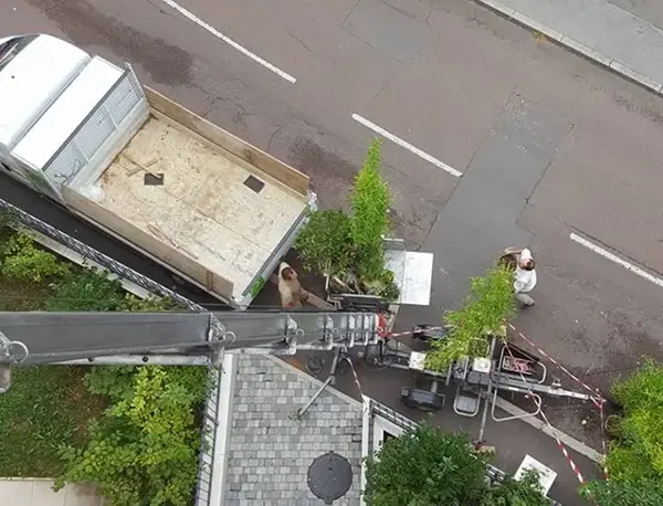 Creation rootop V2 G Paysages Bourgogne 2