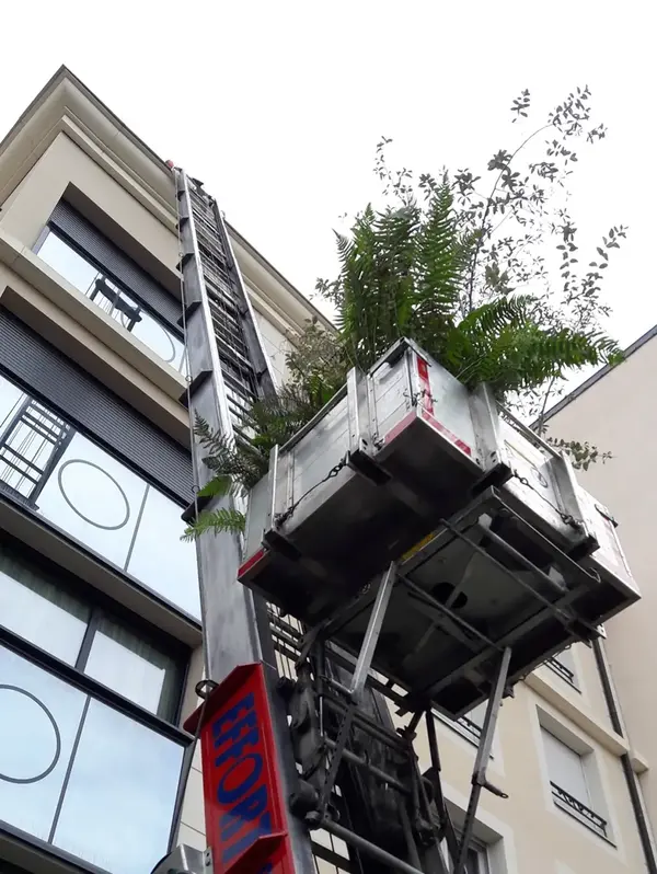 Creation rootop V2 G Paysages Bourgogne 5