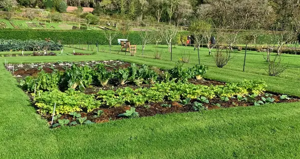Creer un potager 0