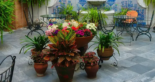 Dalle jardin V2 G Paysages 0