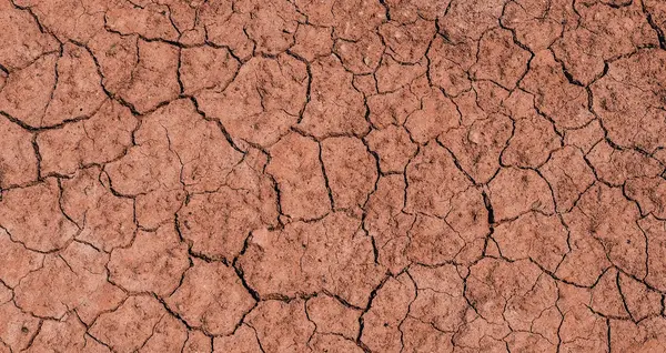 Drainage terrain argileux 0