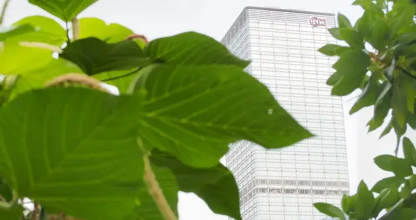 Entreprise Jardin V2 G Paysages Bourgogne 0