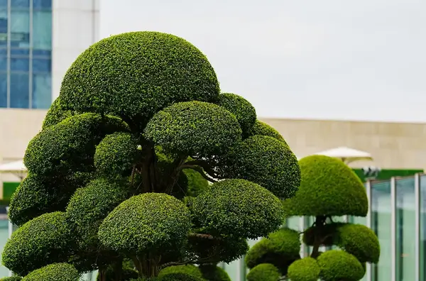 Entreprise Jardin V2 G Paysages Bourgogne 2