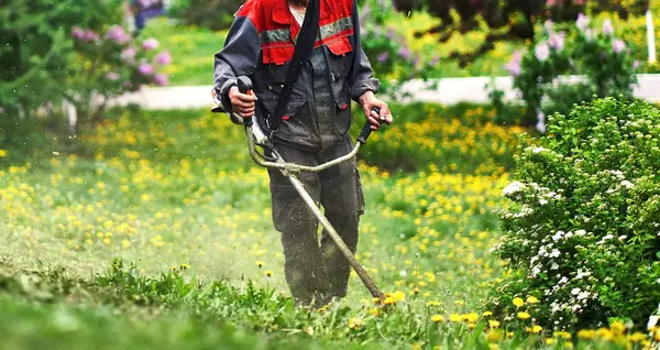 Entretien Jardin Dijon V2 G Paysages Bourgogne 0