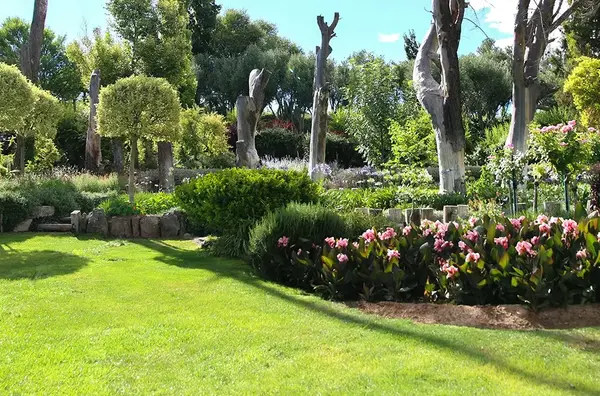 Entretien Jardin Dijon V2 G Paysages Bourgogne 1