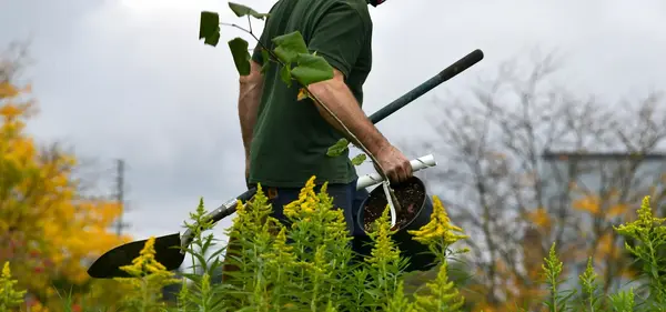 Entretien Jardin V2 G Paysages Bourgogne 0