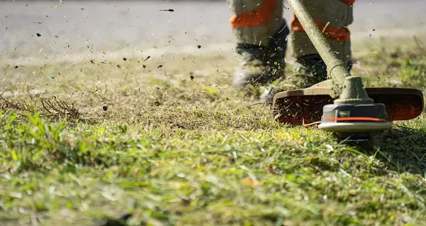 Entretien jardin autour de moi 0