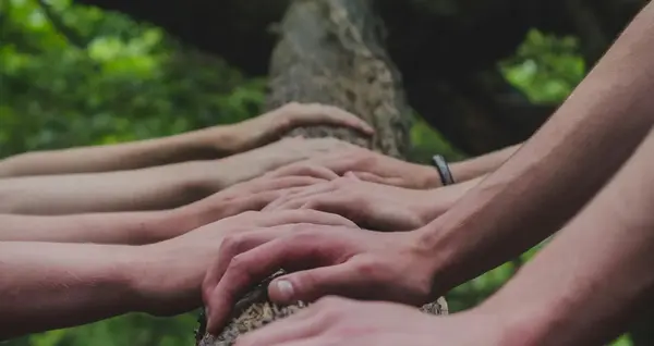 Equipe V2 G Paysage Bourgogne 0