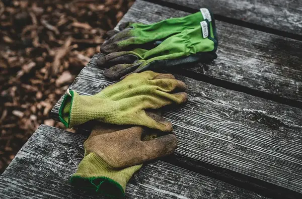 Equipe V2 G Paysage Bourgogne 1