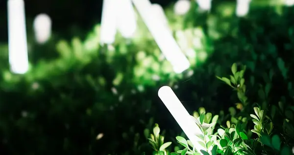 Éclairage exterieur Jardin V2 G Paysagiste 0