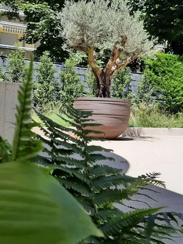 Jardin Particulier 3 V2 G Paysages Bourgogne 5