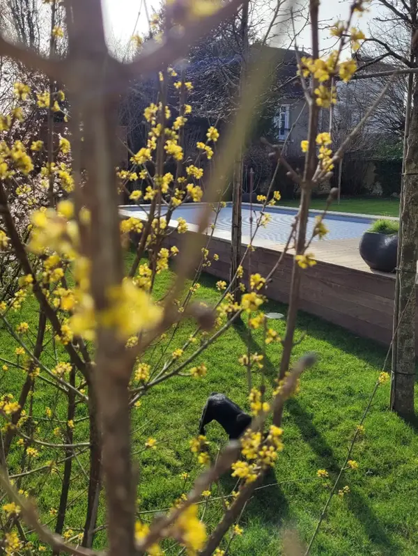 Jardin Particulier 3 V2 G Paysages Bourgogne 6