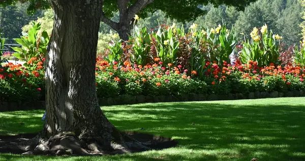 Jardin particulier V2 G Paysages 0