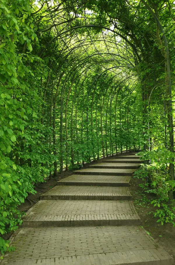 Jardin particulier V2 G Paysages 2