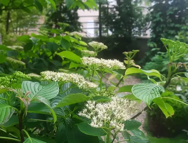 Jardin particulier V2 G Paysages Bourgogne 1
