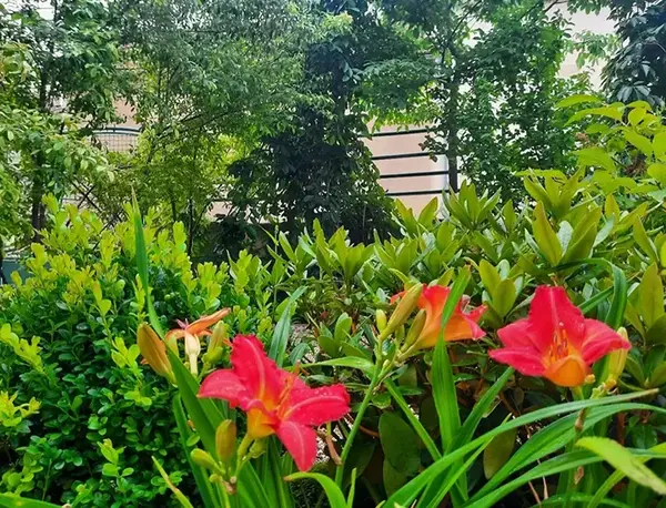 Jardin particulier V2 G Paysages Bourgogne 2