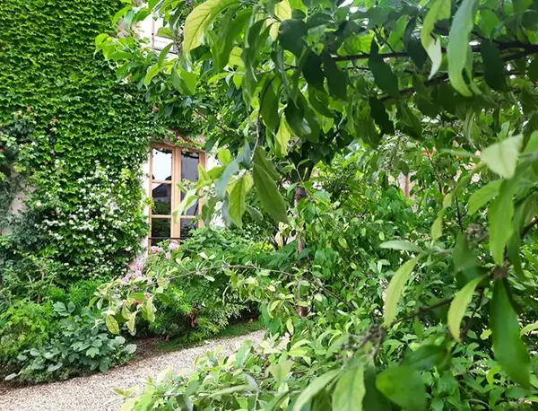 Jardin particulier V2 G Paysages Bourgogne 4