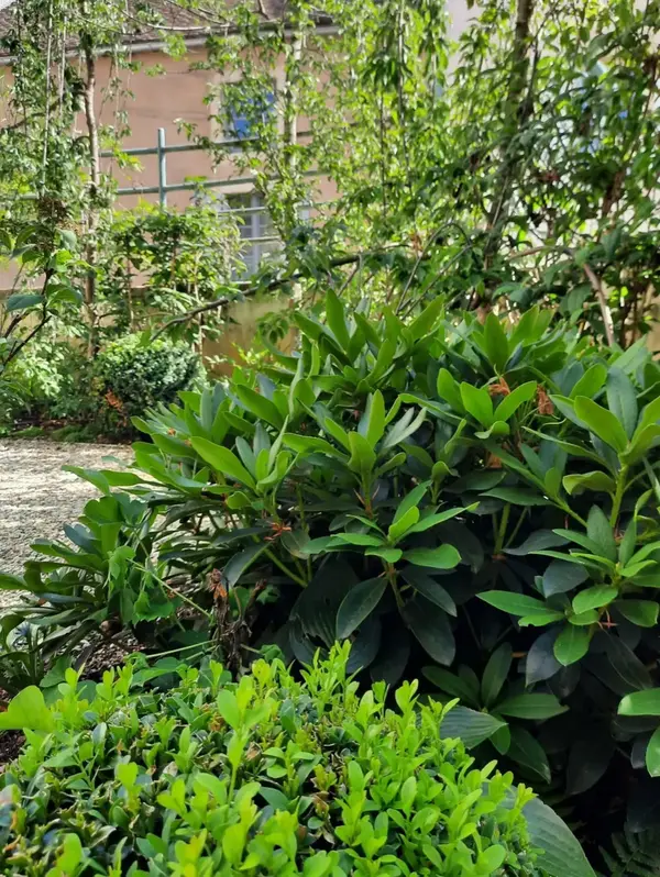 Jardin particulier V2 G Paysages Bourgogne 7