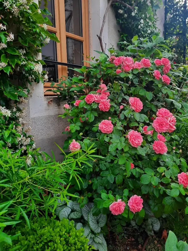 Jardin particulier V2 G Paysages Bourgogne 8