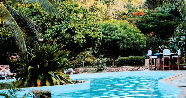 Jardin piscine V2 G Paysages 0
