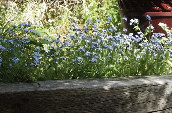 Muret de jardin Dijon V2 G 1