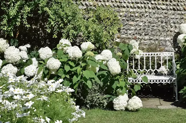 Muret de jardin Dijon V2 G 2