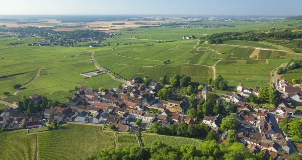 Paysagiste Gevrey Chambertin 0