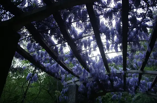 Pergola Dijon quel modele choisir V2 G 1