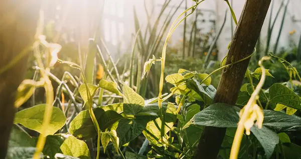 Permaculture Bourgogne 0