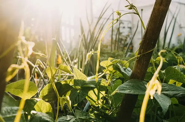 Permaculture V2 G Paysages Bourgogne 1