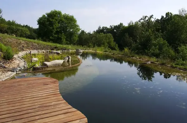 Petit Bassin piscine V2 G Paysage 1