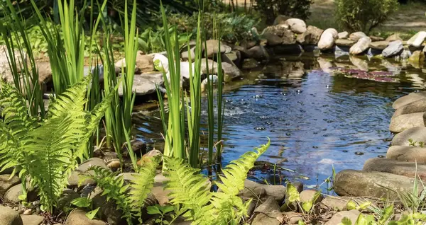 Petit bassin de jardin 0