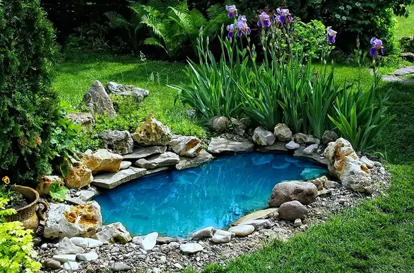 Petit bassin de jardin 1