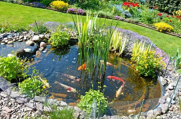 Petit bassin de jardin 2
