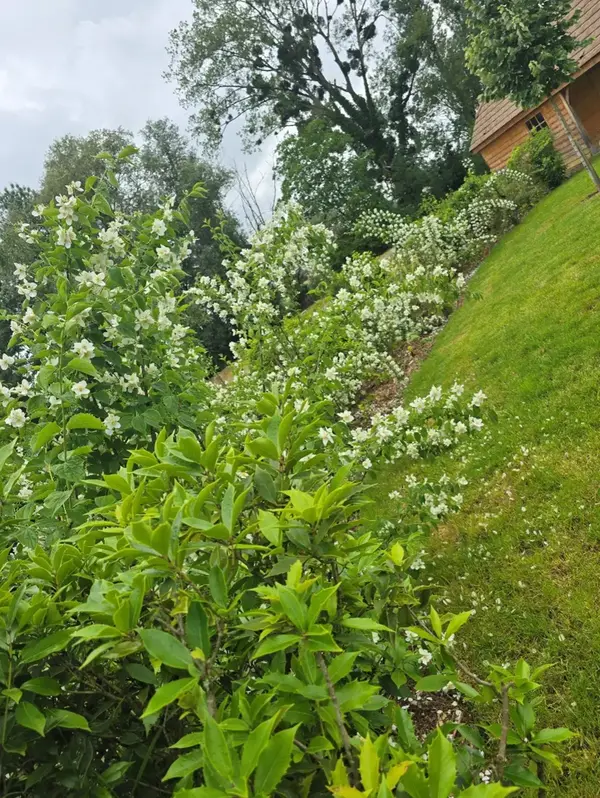 Piscine pool house V2 H Paysages Bourgogne 5