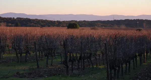 Professionnels V2 G Paysages Bourgogne 0